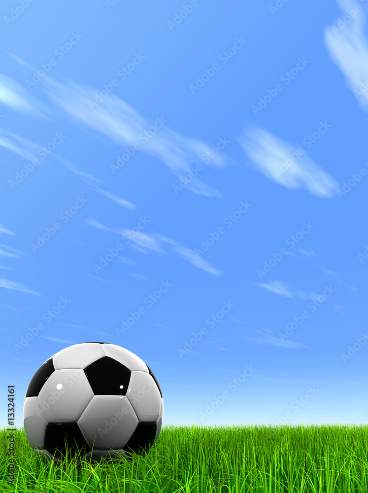 Fototapeta premium 3D black soccer ball,green grass and a blue sky with clouds