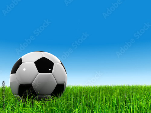 3d leather black and white soccer ball on green grass © high_resolution
