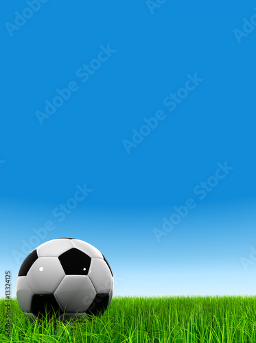3d leather black and white soccer ball on green grass