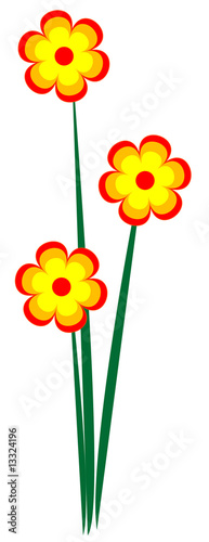 Orange flowers