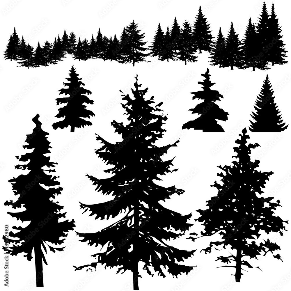 Pine Tree Silhouettes