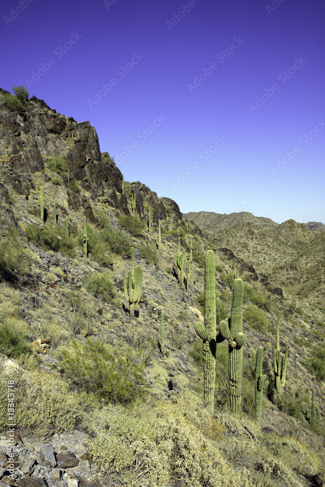 Arizona mountain against a blue sky, in vertical orientation