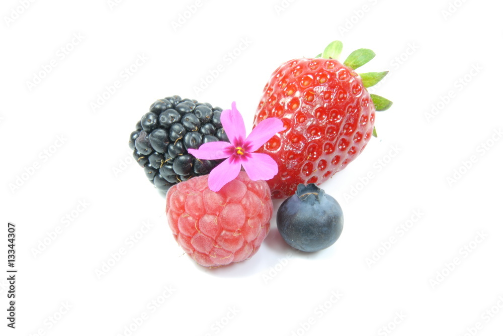 Frutti di bosco con fiore fucsia