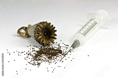Fényképezés opium poppy seed