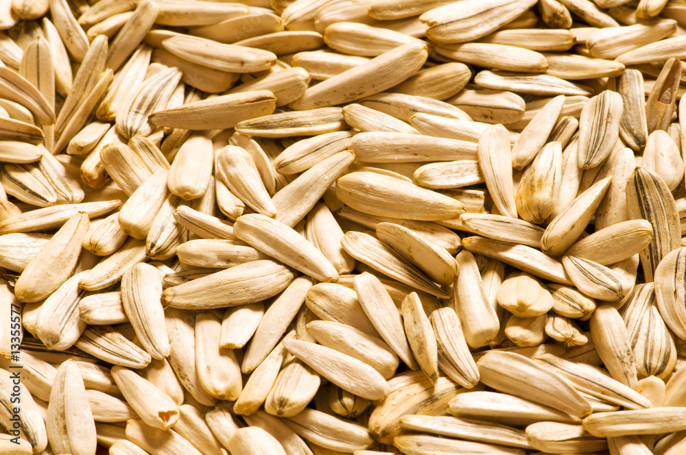 Lots of sunflower seeds arranged as background Lots of sunflower seeds arranged as background