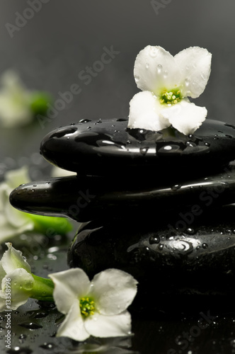 Spa stones and white flowers with water drops