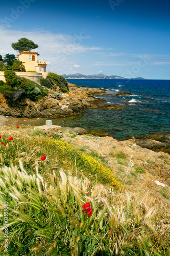 Fotografie Paysage côtier