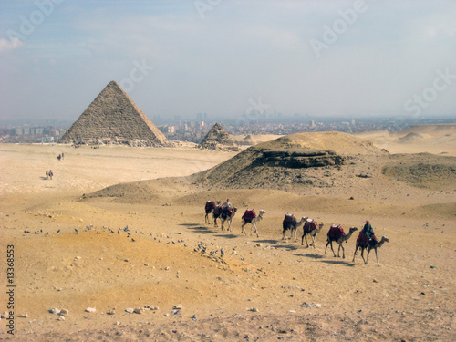 pyramids and camels