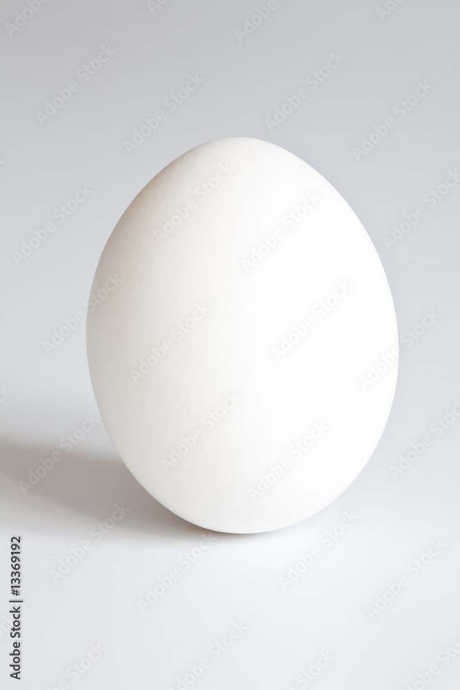 hen's white egg on white background hen's white egg on white background