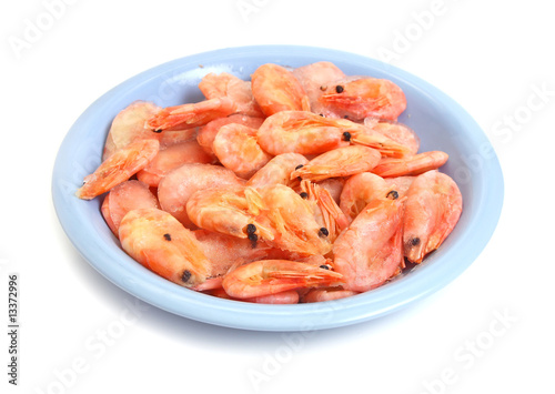 shrimp in plate