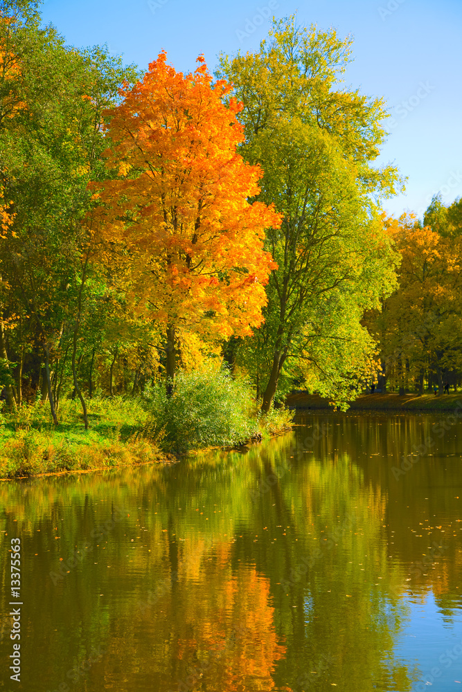 autumn landscape autumn landscape