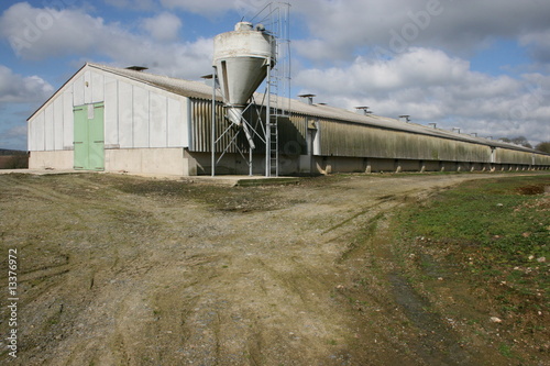 Elevage industriel de volailles - Côtes d'Armor (Bretagne) photo