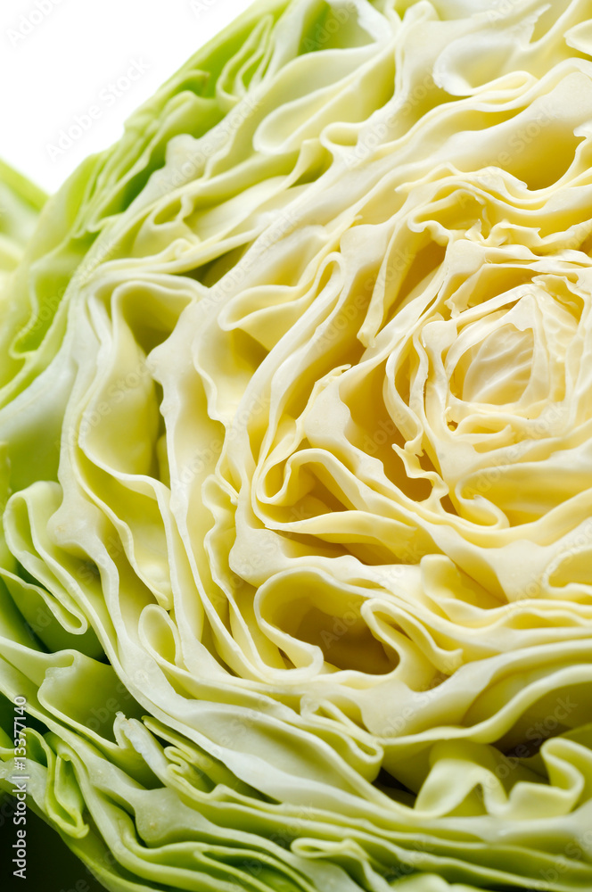 Green cabbage on white background