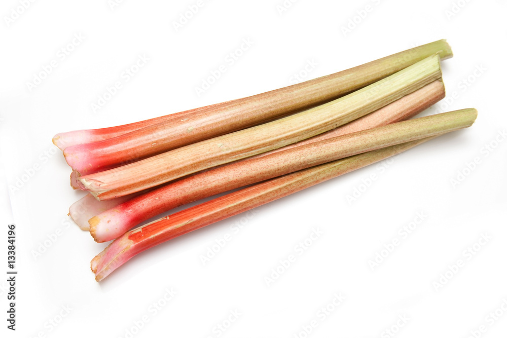 Rhubarb isolated on a white studio background.