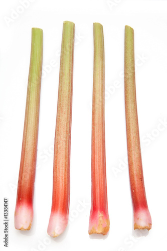 Rhubarb isolated on a white studio background.
