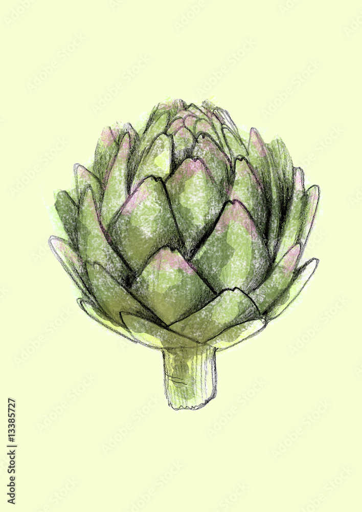 Fototapeta premium Artischocke