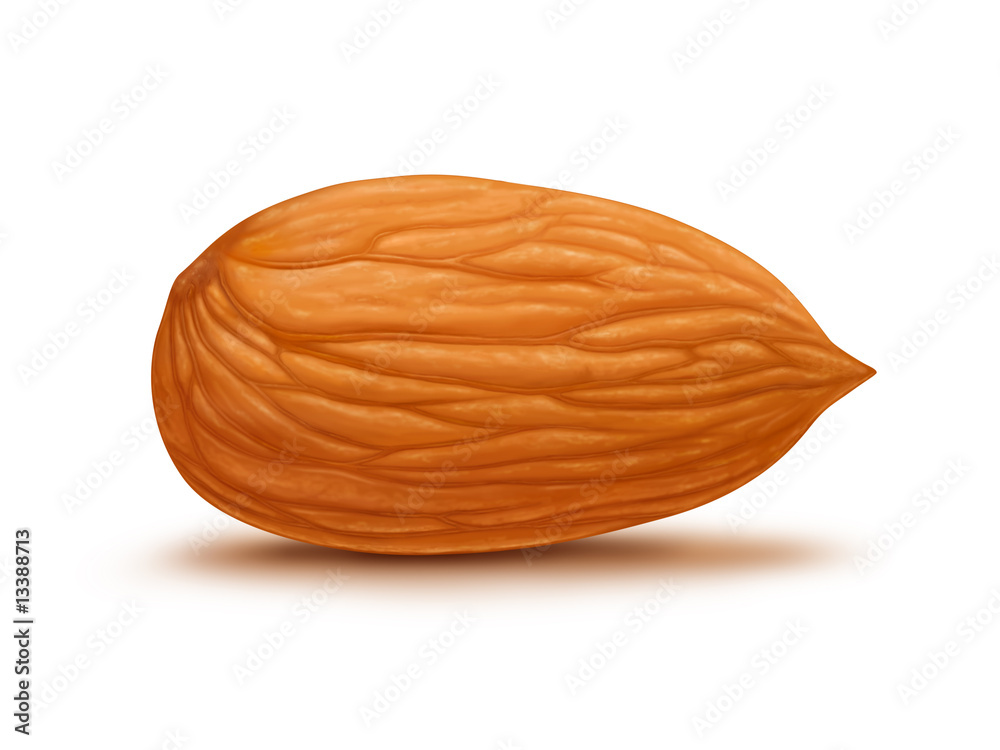 almond almond