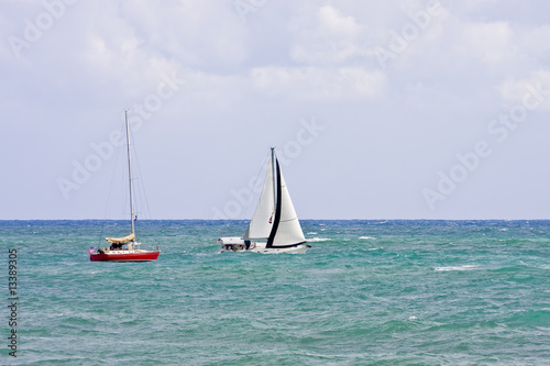 Red and White Sailboats