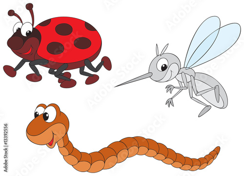 Ladybug, mosquito and worm