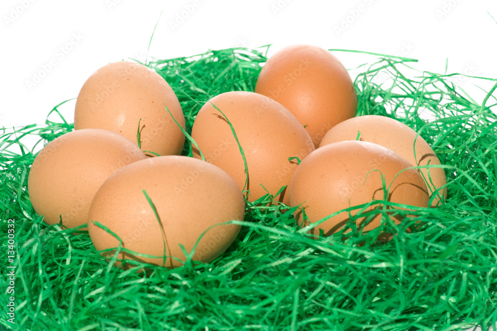 eggs in green grass eggs in green grass