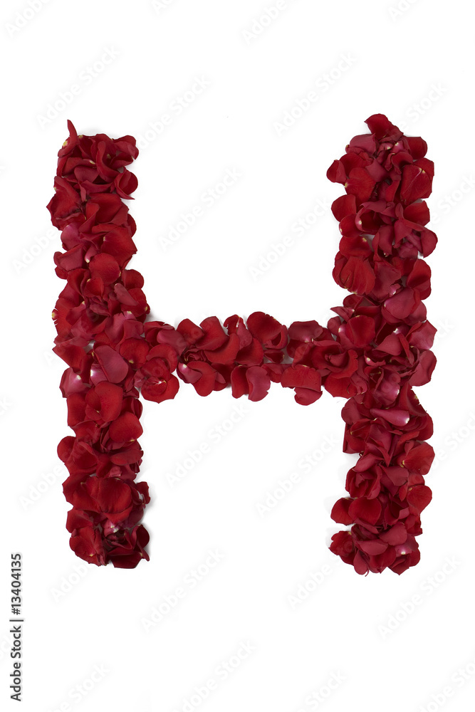 Red rose letter