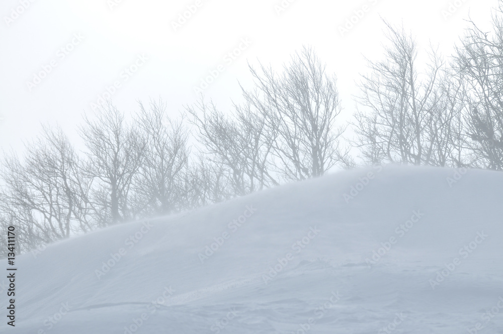 Obraz premium winter landscape