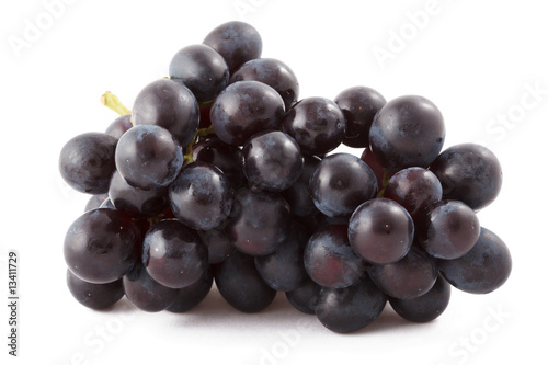 Bunch of black grapes isolated