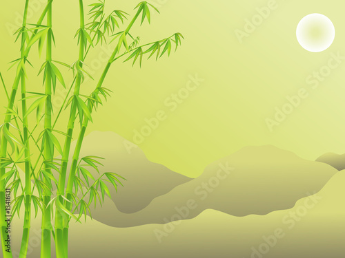 bamboo