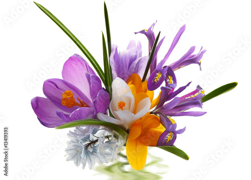 Fototapeta Naklejka Na Ścianę i Meble -  Flower Bouquet