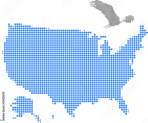 The bald eagle and American map-Pixel series (vector)