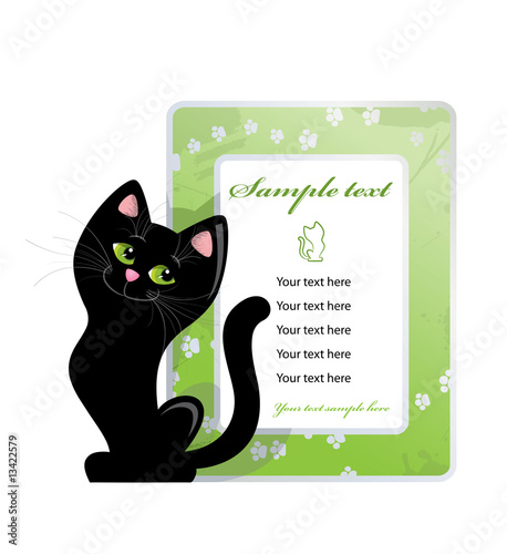 Framework and black cat