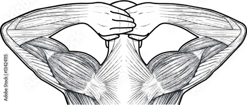 back and arms