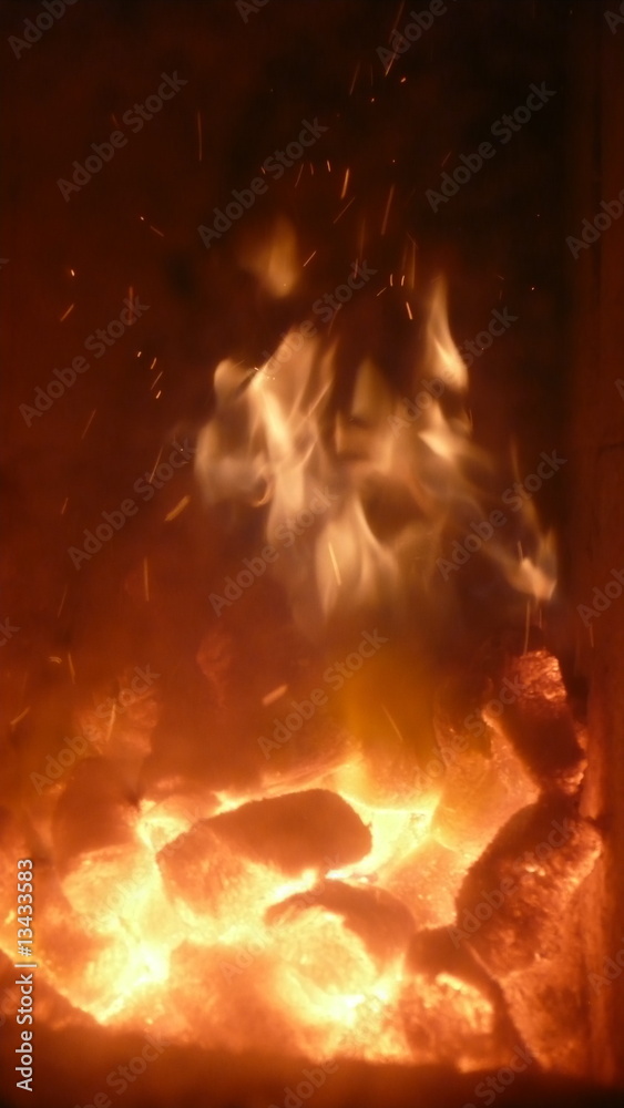 Fototapeta premium Feuer