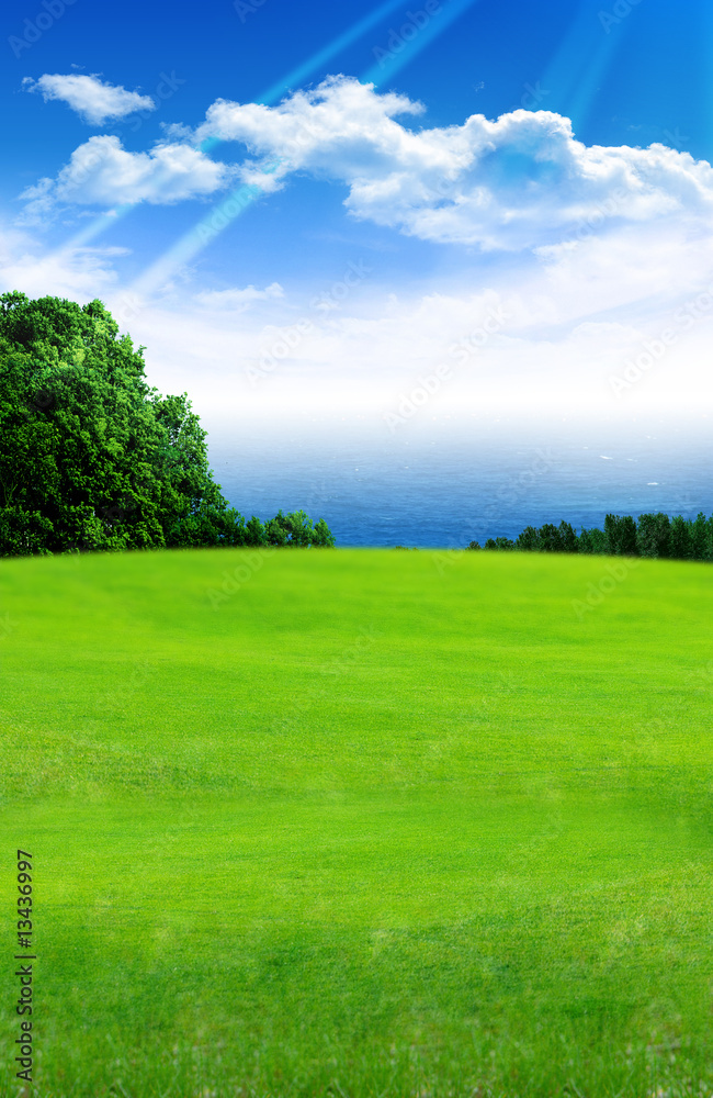 Nice Landscape Nice Landscape