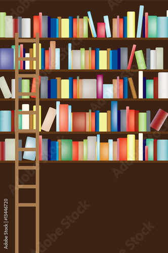 Library shelf full
