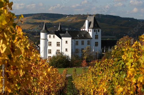 Weinberg Mosel Schloss Berg Nennig Casino photo