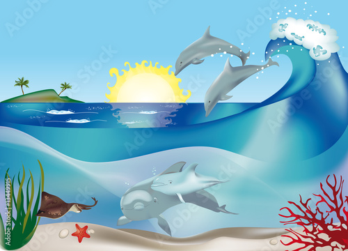 delfini che saltano