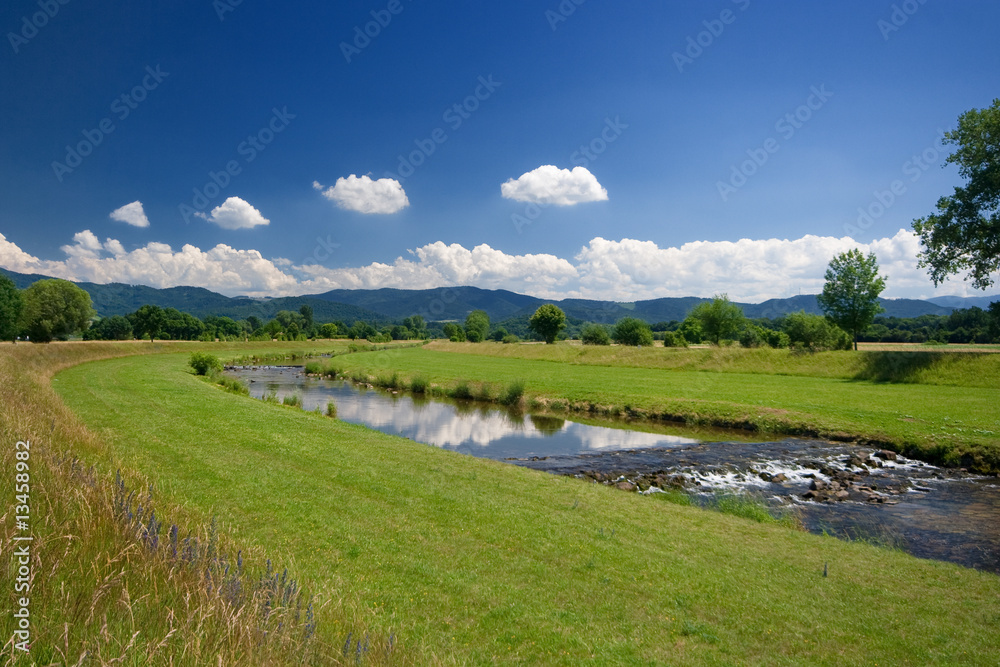 Naklejka premium river in black forrest at Germany