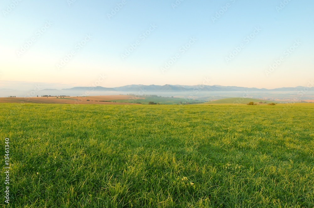 Meadow in morning Meadow in morning