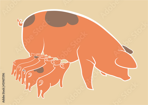 schwein und schweinchen