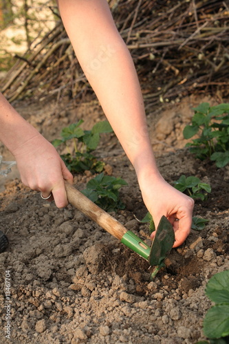 Gardening