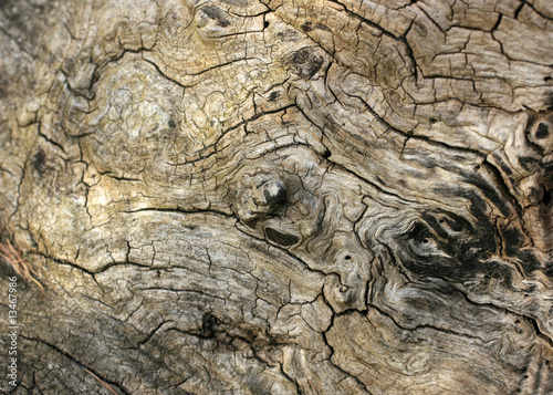 Quadro em tela Holzmaserung - Wood grain