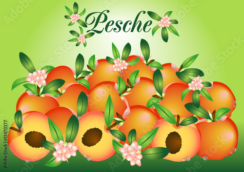 pesche e fiori di pesco