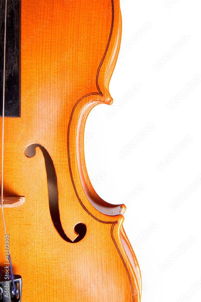 Detail of a violin
