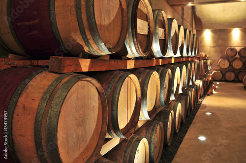 Murais de parede Wine barrels