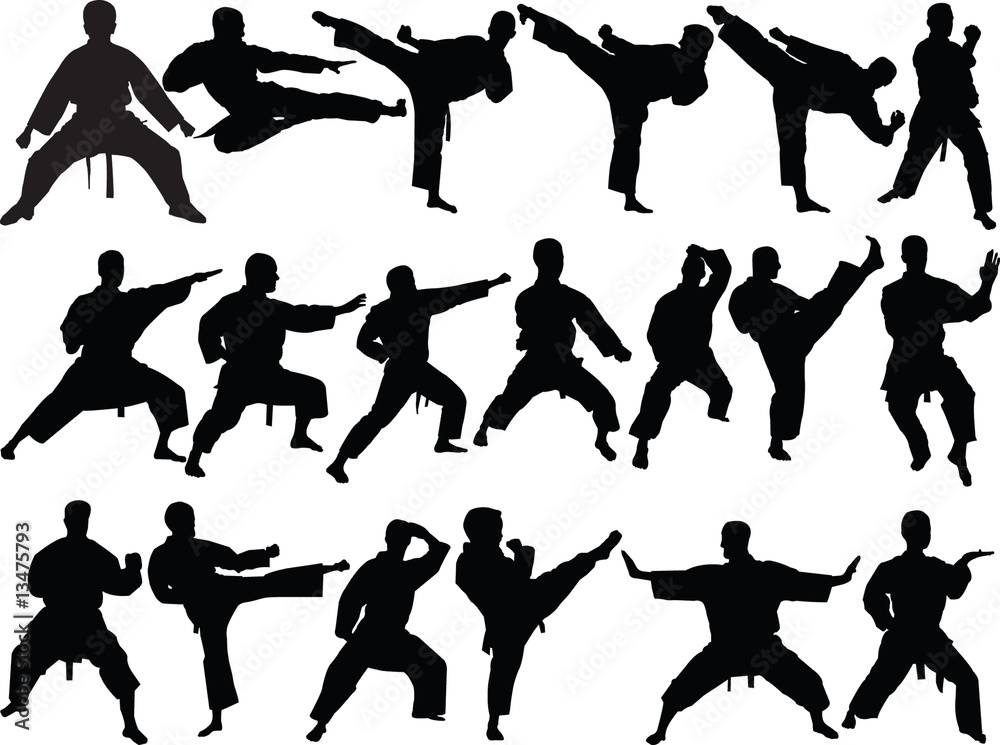 big karate collection - vector