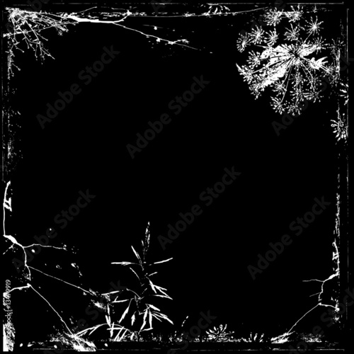 frame with floral elements