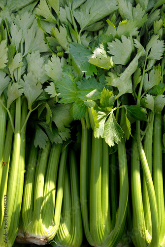Vegetable, celery