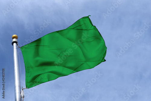 drapeau vert