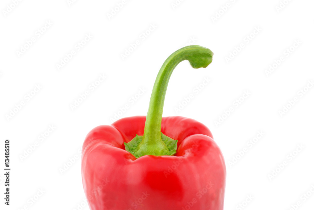 poivron rouge poivron rouge